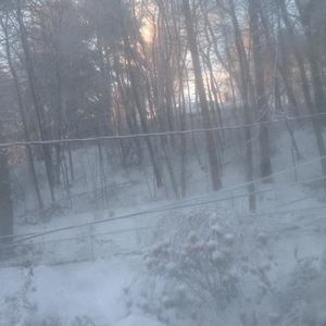 Meet your Posher, Sadie